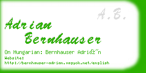 adrian bernhauser business card